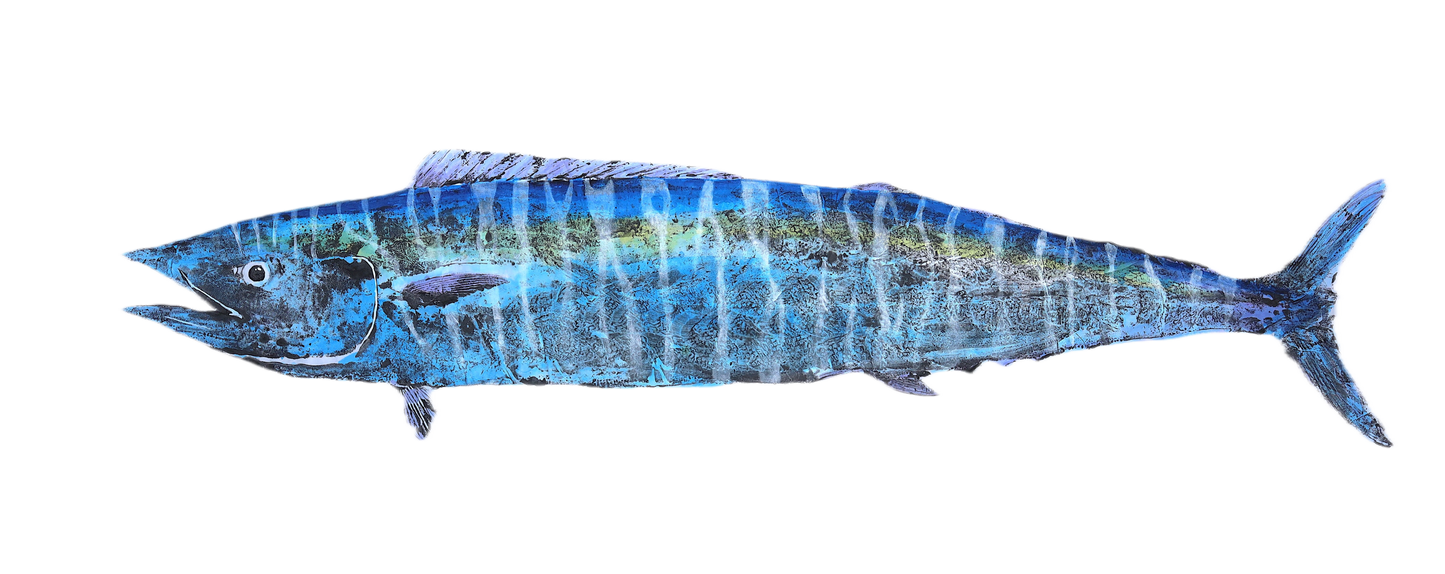 1B: Wahoo Fish Print Full Color - First Edition 20" x 30"