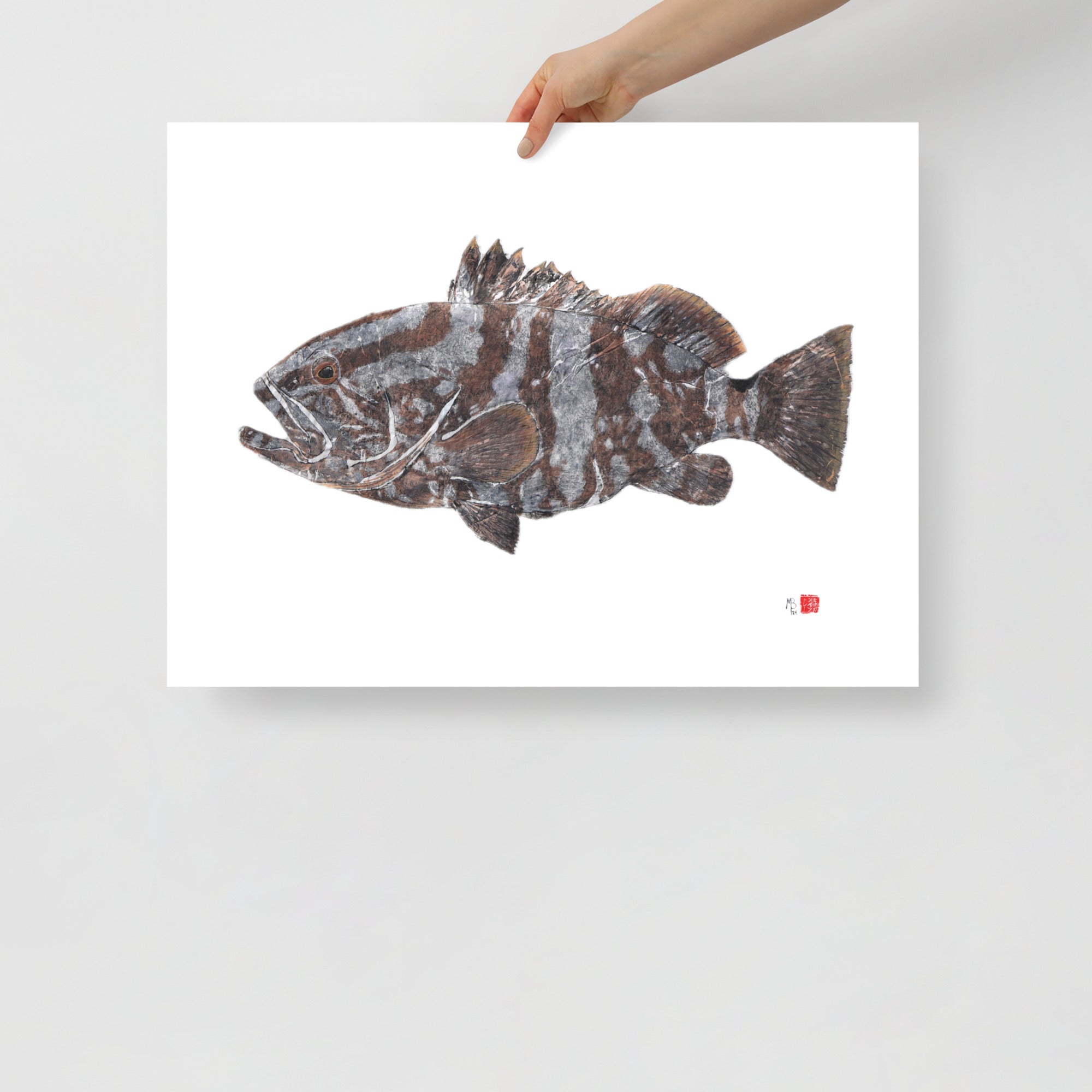 1AB: Nassau Grouper – Morgiepb Fish Prints